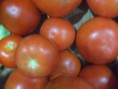 Tomate Plaza ecológico (500g)